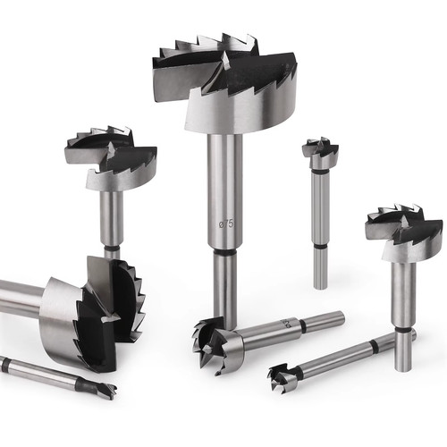 1pz 6mm 100mm - 6mm-100mm, forstner