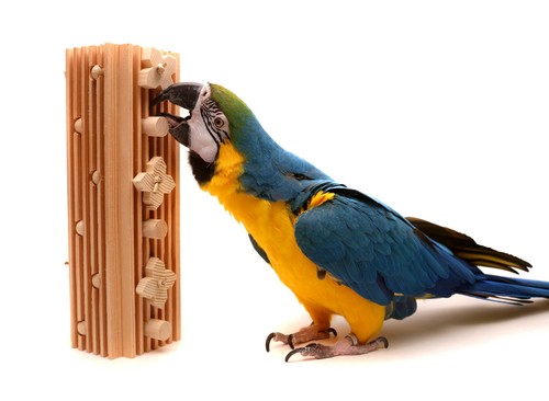 Activity block grande - activity,