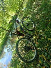 Mtb carbonio scott - mtb, cerchi
