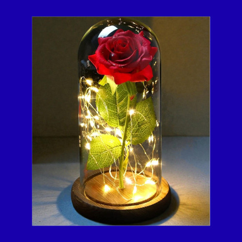 Rosa eterna idee - regalo, per