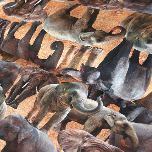 Maglia cotone elefante - maglia, "elefante
