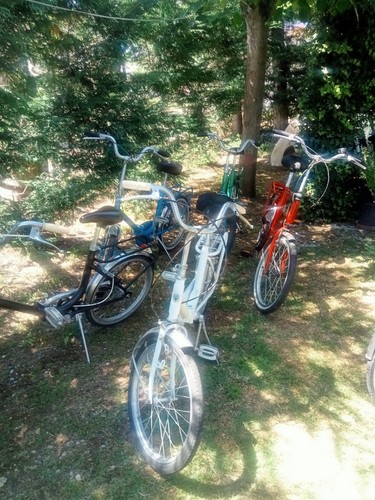 Bici pieghevoli misura - bici, con
