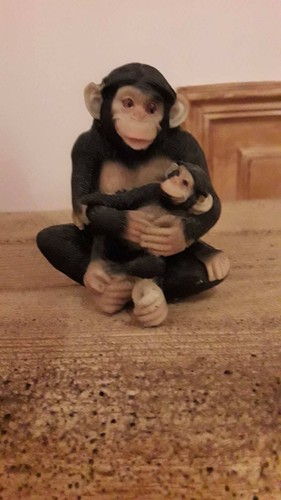 Fata fatine animali scimmietta - animali,