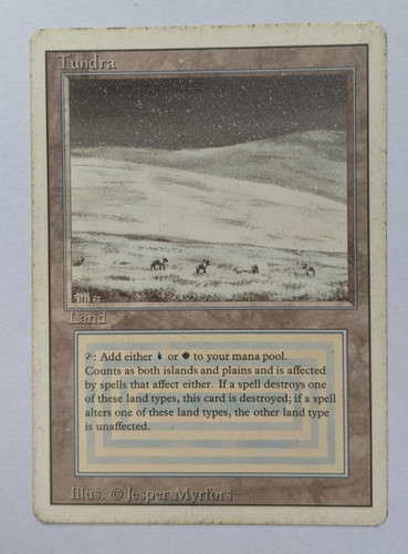 Magic mtg tundra - mtg, 1x
