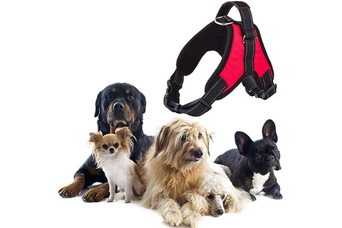 Pettorina imbracatura per cane