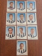 1954-55 VAV Calciatori