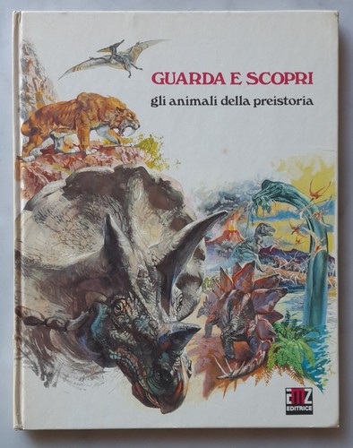 Editrice amz guarda - -, e