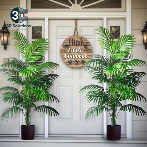 Pezzo palma areca - 1,