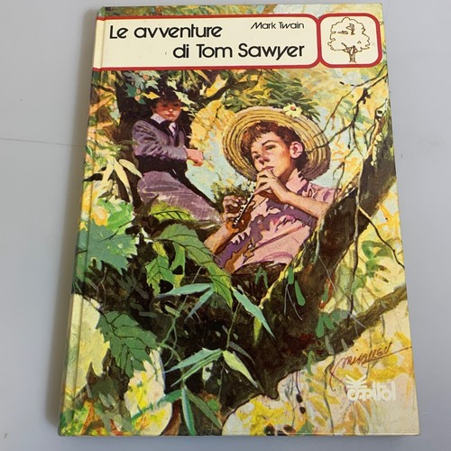 Avventure tom sawyer - le,