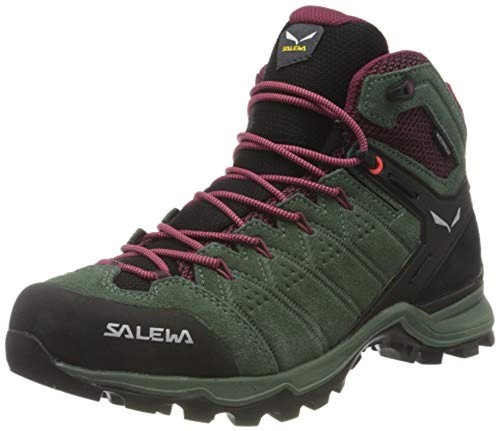 Salewa alp - eu), ws