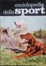 CACCIA - coppia di Setter inglesi  (da Enciclopedia Sport anni '60)_v.note