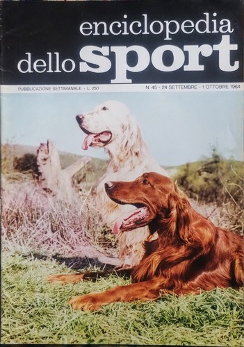 Caccia coppia di setter - -,