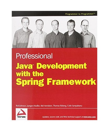 Professional java development - professional,