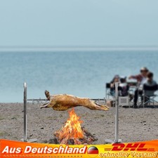 Barbecue per maialini in