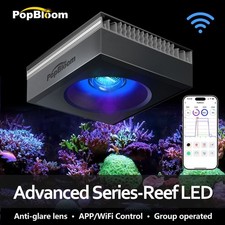 PopBloom 90W 120W 180W LED