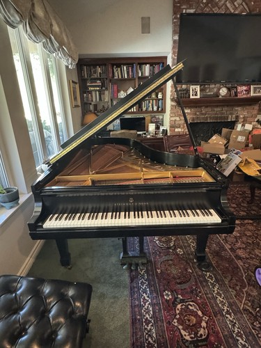 Steinway grand piano model - grand,