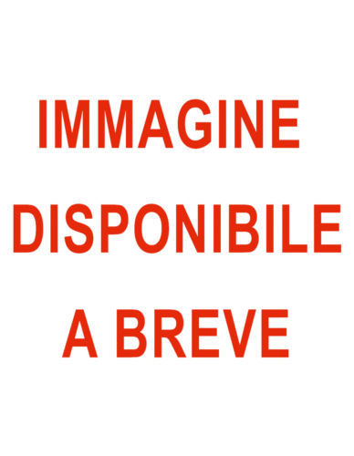 Giornali riviste 1019 - giornali,
