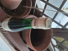 Vino da collezione aragosta vermentino di alghero anno 1976, scambio turriga