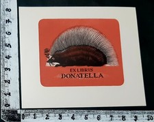 WUNDERKAMMER EXLIBRIS 17 -