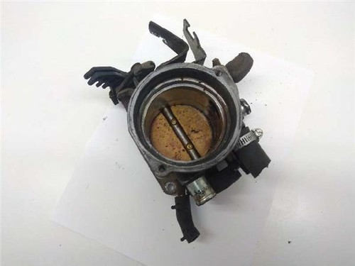 280122004 corpo farfallato - ,