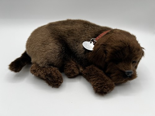 Perfetto petzzz marrone - perfetto,