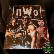 *WWE/WCW NWO HOLLYWOOD HOGAN