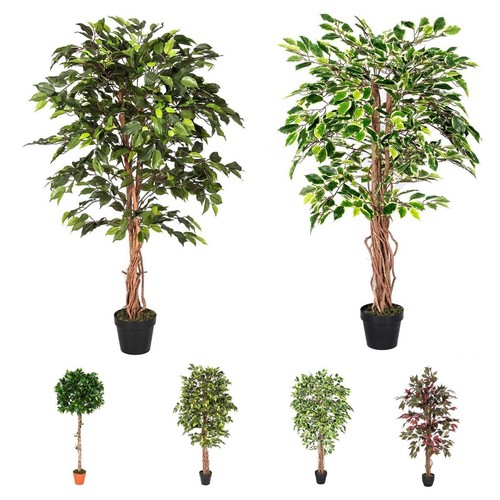 Albero ficus artificiale 4 - ficus,