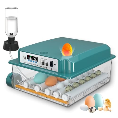 Incubatrice per uova - per,