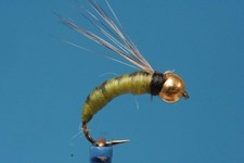 Fliegentom 3 pezzi Palaretta