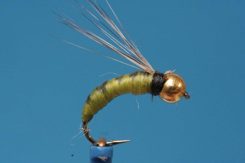 Fliegentom pezzi palaretta - 3,