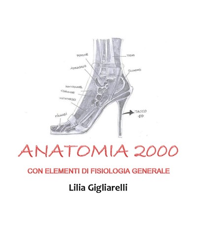 Anatomia 2000 con elementi - , di