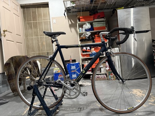 Vintage pinarello surprise - pinarello,