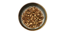 DAN SHEN (Salvia miltiorrhiza)