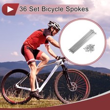 Set 36 Raggi Bicicletta 14G