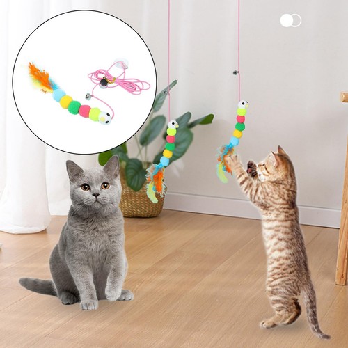 Pet cat teaser - toy, bug