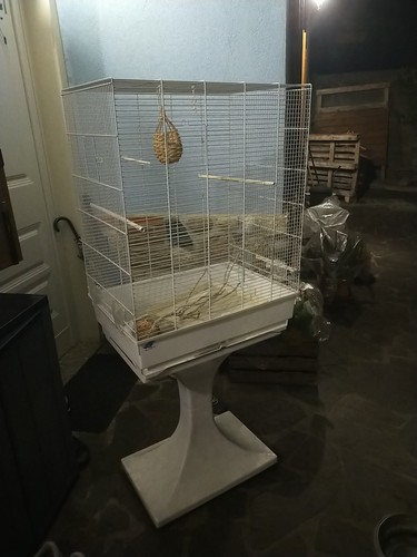 Gabbia per uccelli con - gabbia,