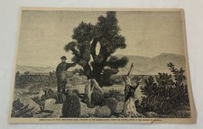 1885 magazine engraving~