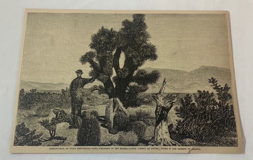 1885 magazine engraving~