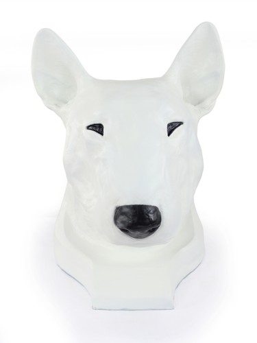 Bull terrier grande testa - grande, in