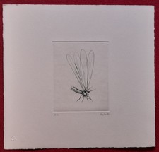 Guido Strazza (Santa Fiora 1922) - Prova Insetti, 1980 - Incisione a bulino