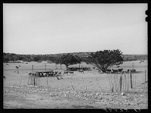 Sutton county texas 1940 - county,