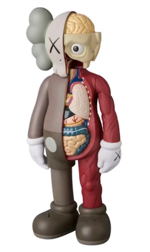 Kaws companion dissected - kaws, /