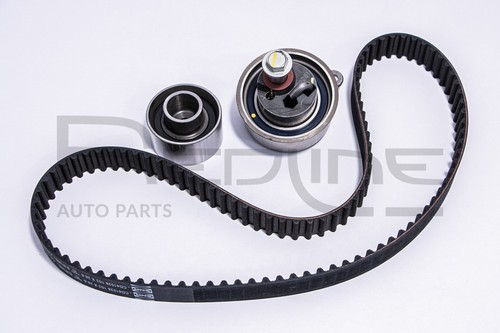 Kit cinghia distribuzione ford - cinghia,