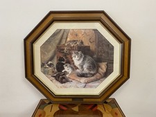 Splendida Henriette