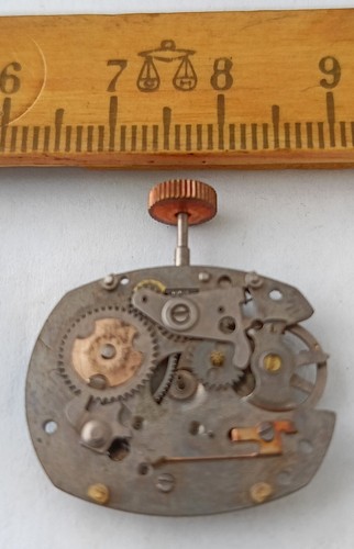 Movimento orologio polso