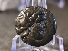 Seleuco I Nicatore, Antiochia