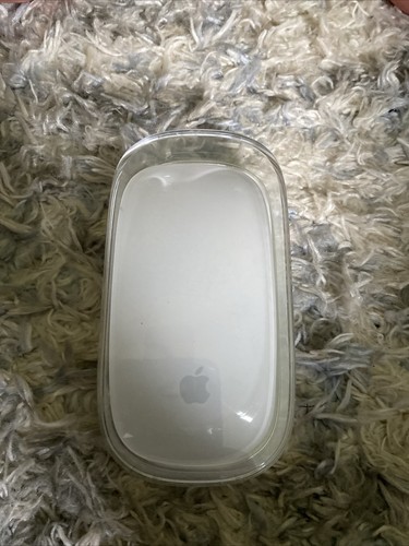 Apple magic mouse - magic,