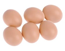 6X UOVA FINTE GALLINA PER RICHIAMO DEPORRE AIUTO NIDO pollaio artificiali pollo