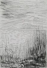 ANTONIO CORPORA: Incisione all'Acquaforte 70x50, Firmata, Numerata. STUPENDA!!!