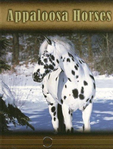 Appaloosa horses stone - appaloosa,